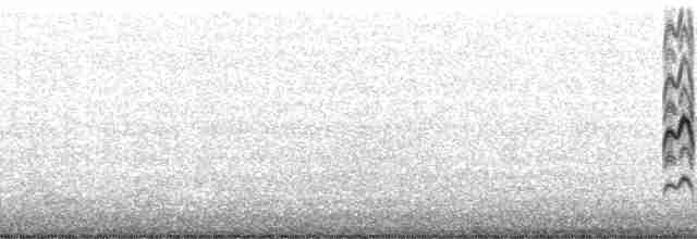 American Kestrel (Northern) - ML107989