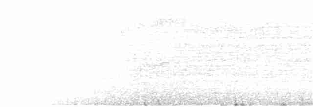 Белокрылый крапивник - ML108020461