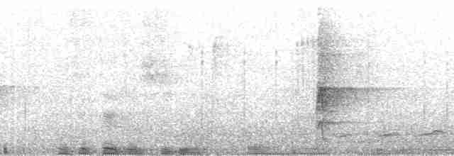 נקר לבן-גב (אירואסייתי) - ML108052