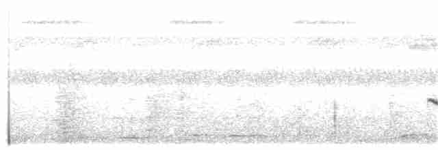Dreibinden-Ameisenvogel - ML108162871
