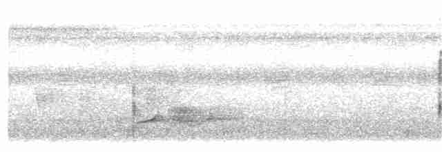 Kara Karınlı Sincap Guguğu - ML108206081