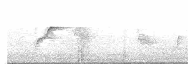 Batı Amerika Sinekkapanı (occidentalis/hellmayri) - ML108280651