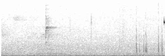 Dusky-tailed Antbird - ML108359301