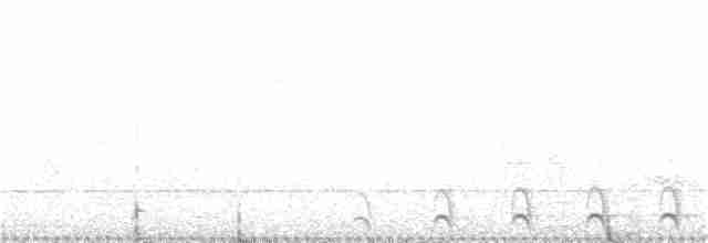 Weißbrust-Ameisenwürger - ML108457181