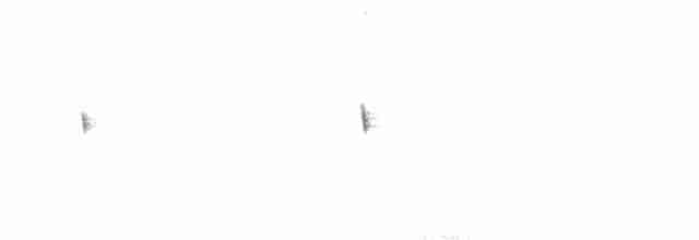 Sickle-winged Nightjar - ML108462321