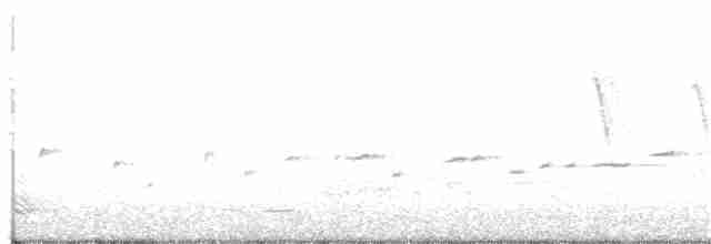 Weißschwanzgerygone - ML108493801