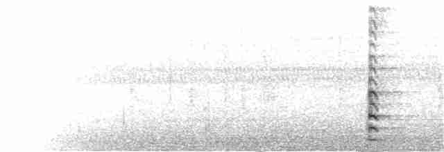 Common Gallinule - ML108529241