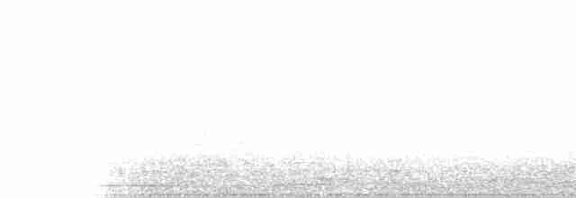 White-crested Tyrannulet (Sulphur-bellied) - ML108555811