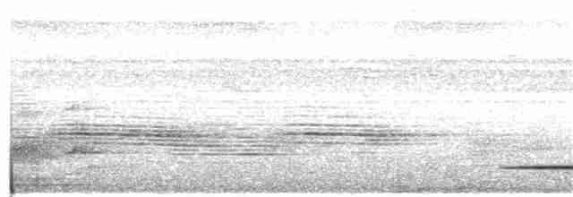 Красногрудый скрытохвост - ML108579991