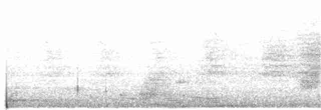 Красногрудый скрытохвост - ML108580131