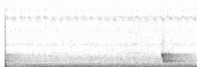 Langschwanz-Nachtschwalbe - ML108722021