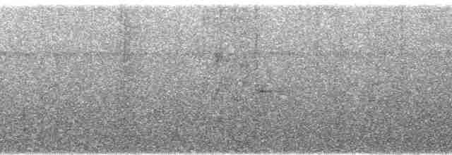 White-tailed Trogon - ML108847