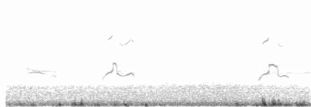裏海燕鷗 - ML108934291