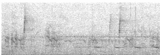 Surukua Trogonu (surrucura) - ML108953021