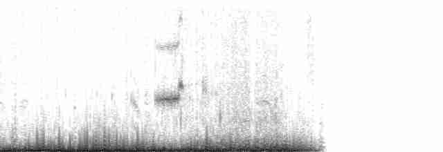 Little Ringed Plover (dubius/jerdoni) - ML108985