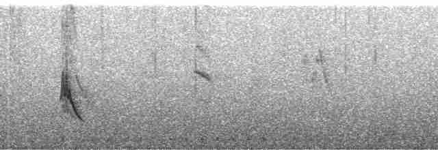 Кратеропа смугастоголова - ML108988