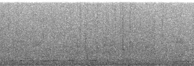 Dendrocygne siffleur - ML108991