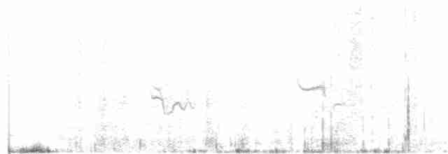 Чечевичник малиновокрилий (підвид sanguineus) - ML108994421