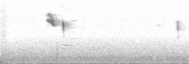 Spotted Flycatcher - ML109005881