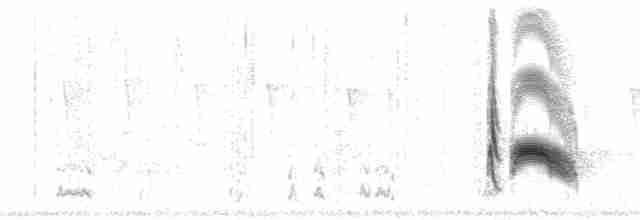 Серогрудый тиранн - ML109078