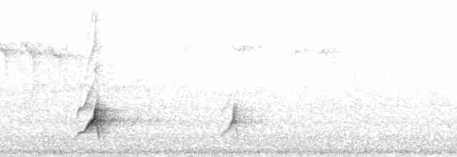 Brown-crested Flycatcher (Arizona) - ML109091