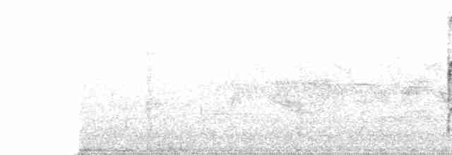 strakapoud hnědokřídlý - ML109092