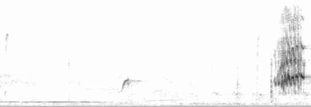 Kara Yanaklı Saksağan Kargası - ML109168