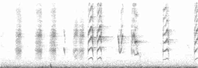 Long-tailed Shrike - ML109201171