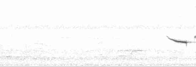 Веерохвостая корольковка - ML109242