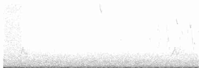Mexikonachtschwalbe - ML109248721