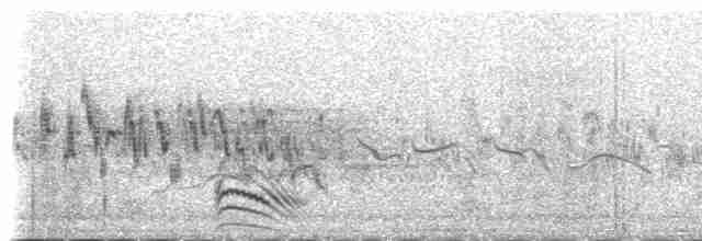 Pin-tailed Sandgrouse (Iberian) - ML109296741
