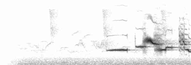 Дрізд-короткодзьоб плямистоволий - ML109308351