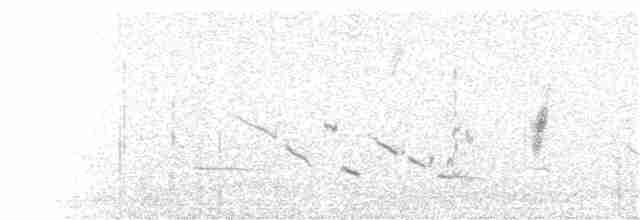 Chihuahuan Meadowlark - ML109360351