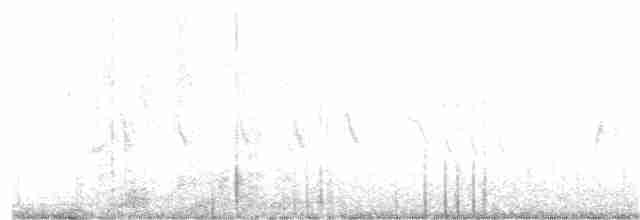 "Шишкар ялиновий (Northeastern, або тип 12)" - ML109382471