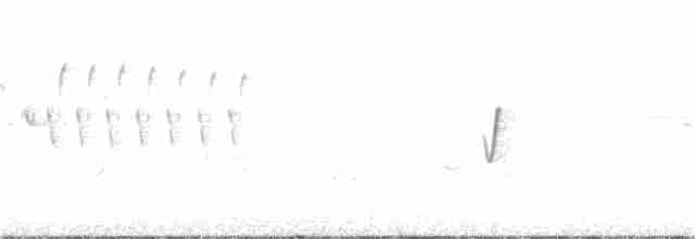 Очковая хвойница - ML109388601