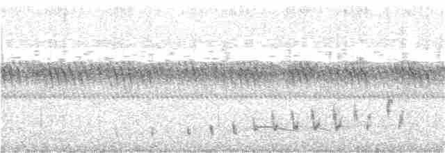 Braunhals-Nachtschwalbe - ML109463651