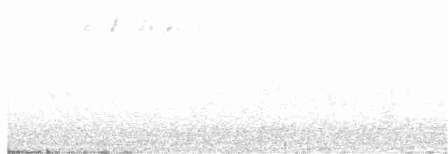 Пестрогорлый соловьиный дрозд - ML109468231