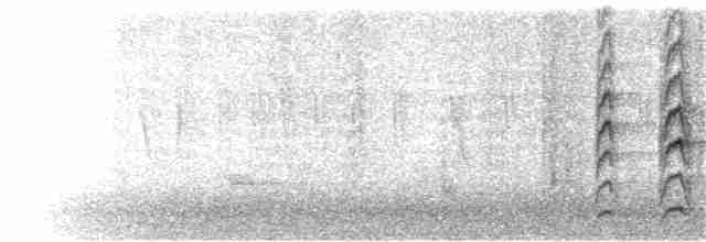 Carpintero de Gila - ML109522501