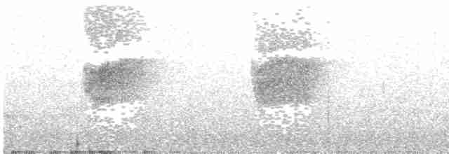 Пятнистая вилохвостка - ML109531891