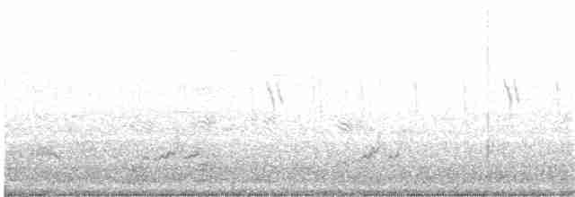 Brown-crested Flycatcher - ML109565711