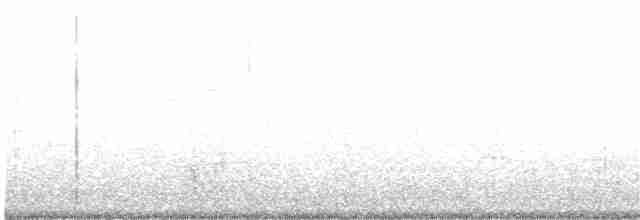 Серогрудый тиранн - ML109566091
