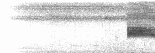 Loggerhead Shrike - ML109566221