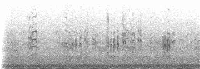 Akça Cılıbıt (alexandrinus/nihonensis) - ML109693201