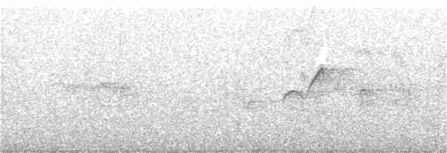 Western Flycatcher (Cordilleran) - ML109693801