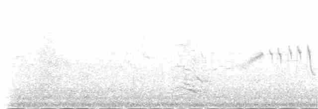 Kırmızı Gagalı Dağ Kargası [pyrrhocorax grubu] - ML109701441