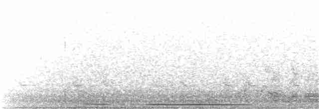 holub bledočelý - ML109766111