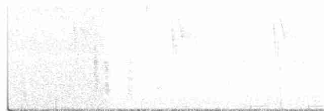 Чернолобый сорокопут - ML109889121