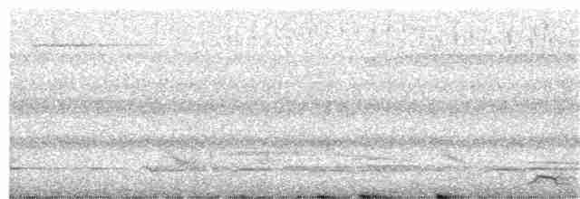 Black-tailed Trogon - ML109916641