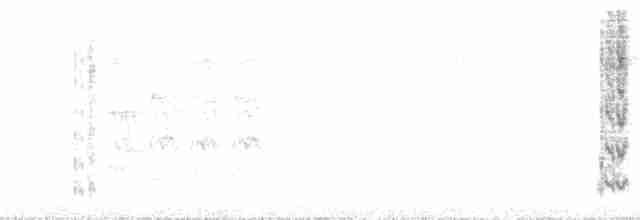 brunhetteparakitt (lucida) - ML109994