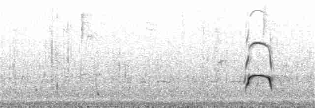 Кулик-сорока євразійський - ML110006981